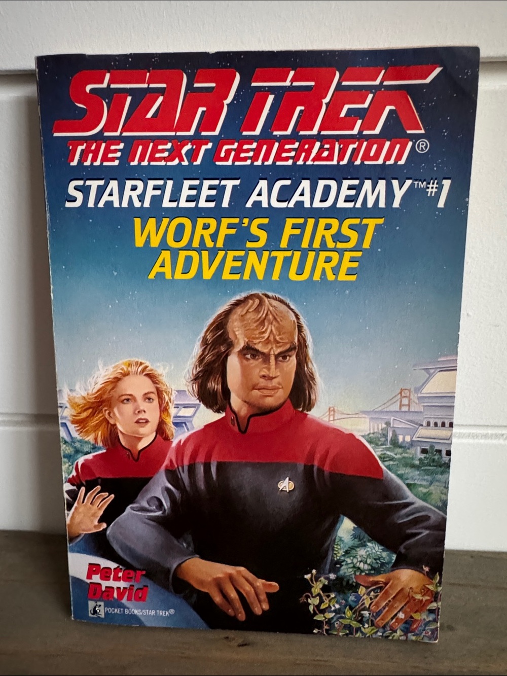 Star Trek The Next Generation: Starfleet Academy #1: Worf’s First Adventure